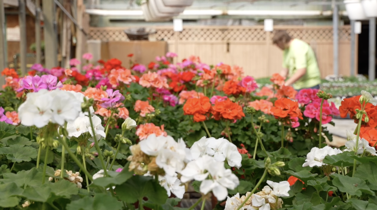 Ready to Start Gardening? When Is Too Soon?