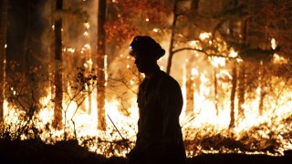 New Jersey Forest Fires