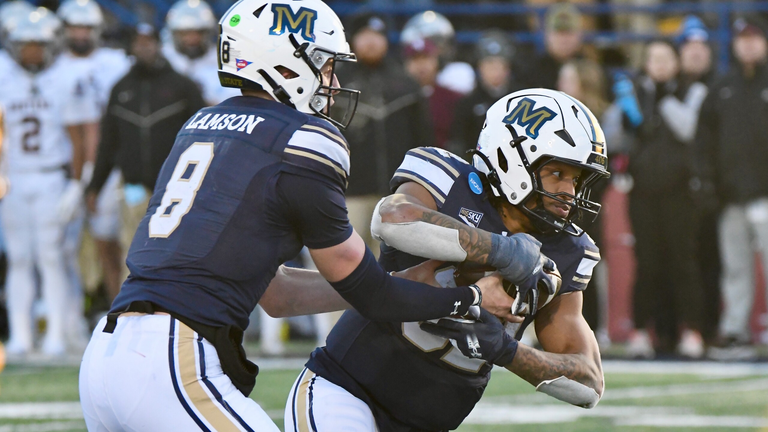 Montana at Montana State