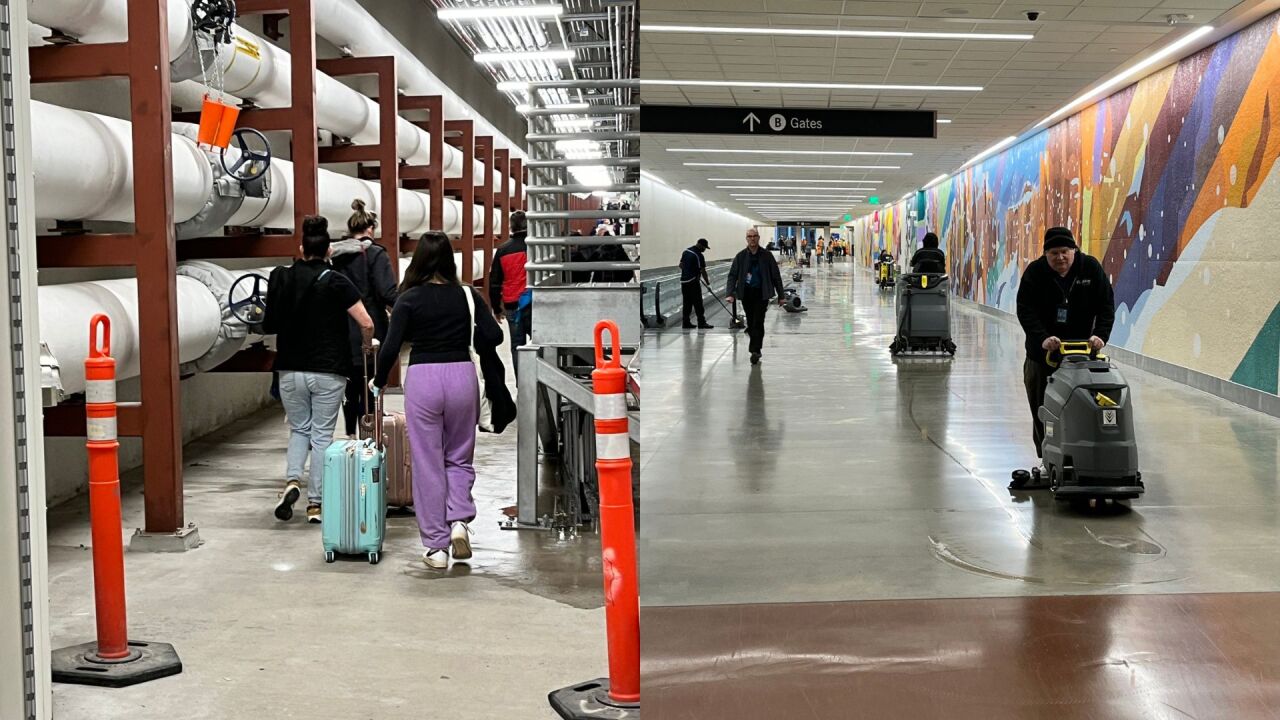 Untitled design (12).jpg