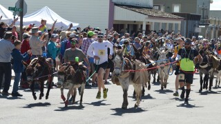71st World Championship Pack Burro Race 20