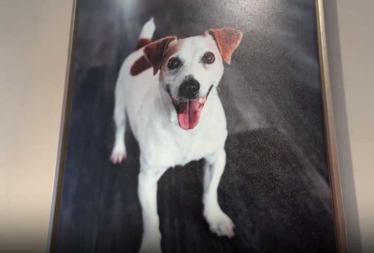 Screenshot 2026-03-11 at 6.44.35 AM.png