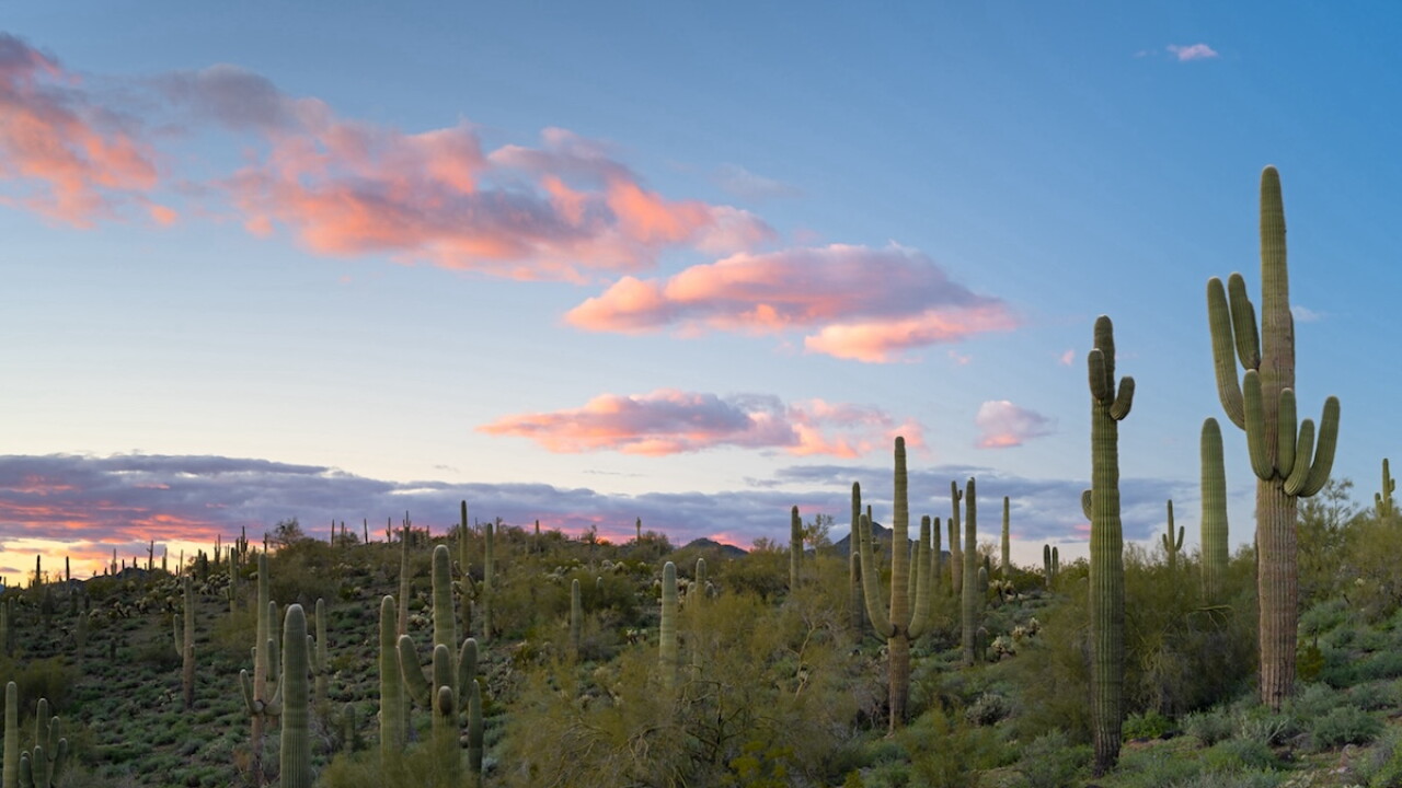 Desert.jpg