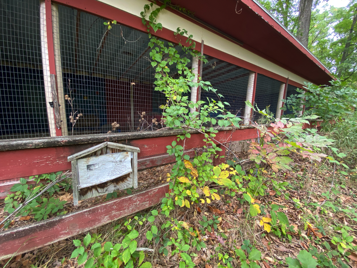 Deer Forest Fun Park (October 6, 2021)