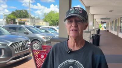 Voice of the Voter St Pete