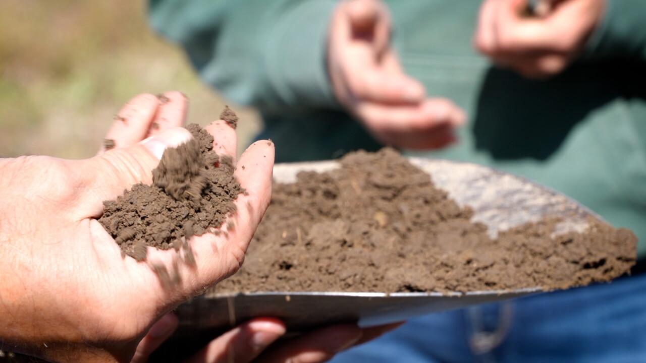 DIRT PHOTO DETAIL.jpg