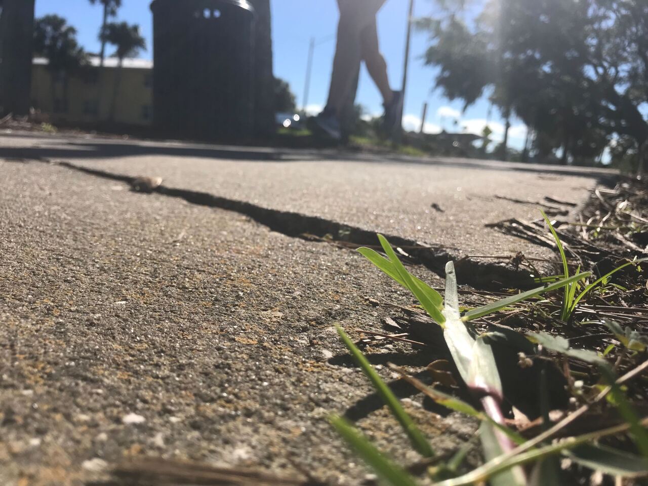 sidewalk crack