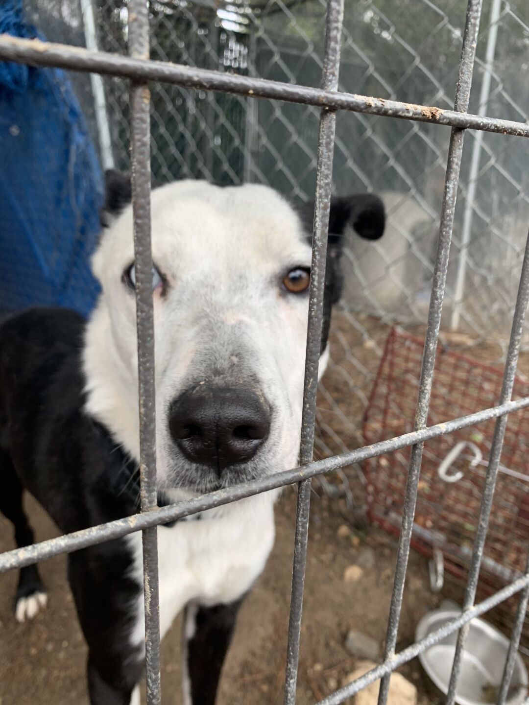 Rambo first meeting Jennifer Tolan