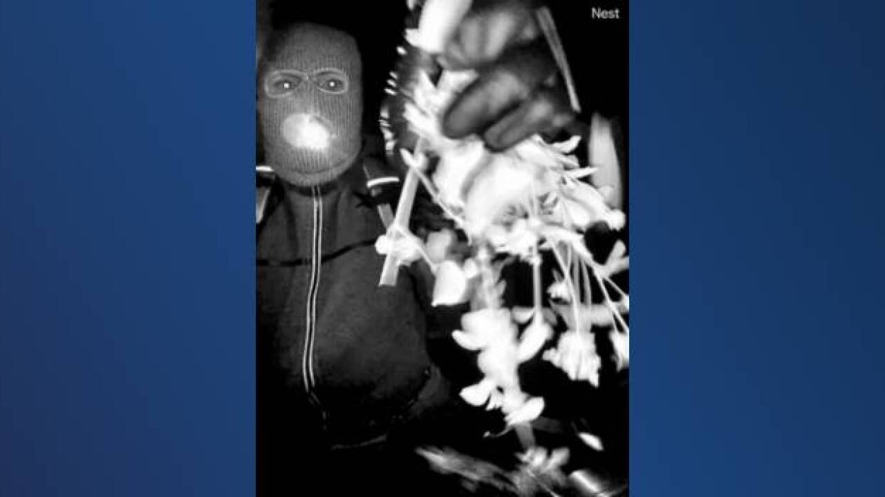 FEBRUARY 10| New images in the search for Nancy Guthrie