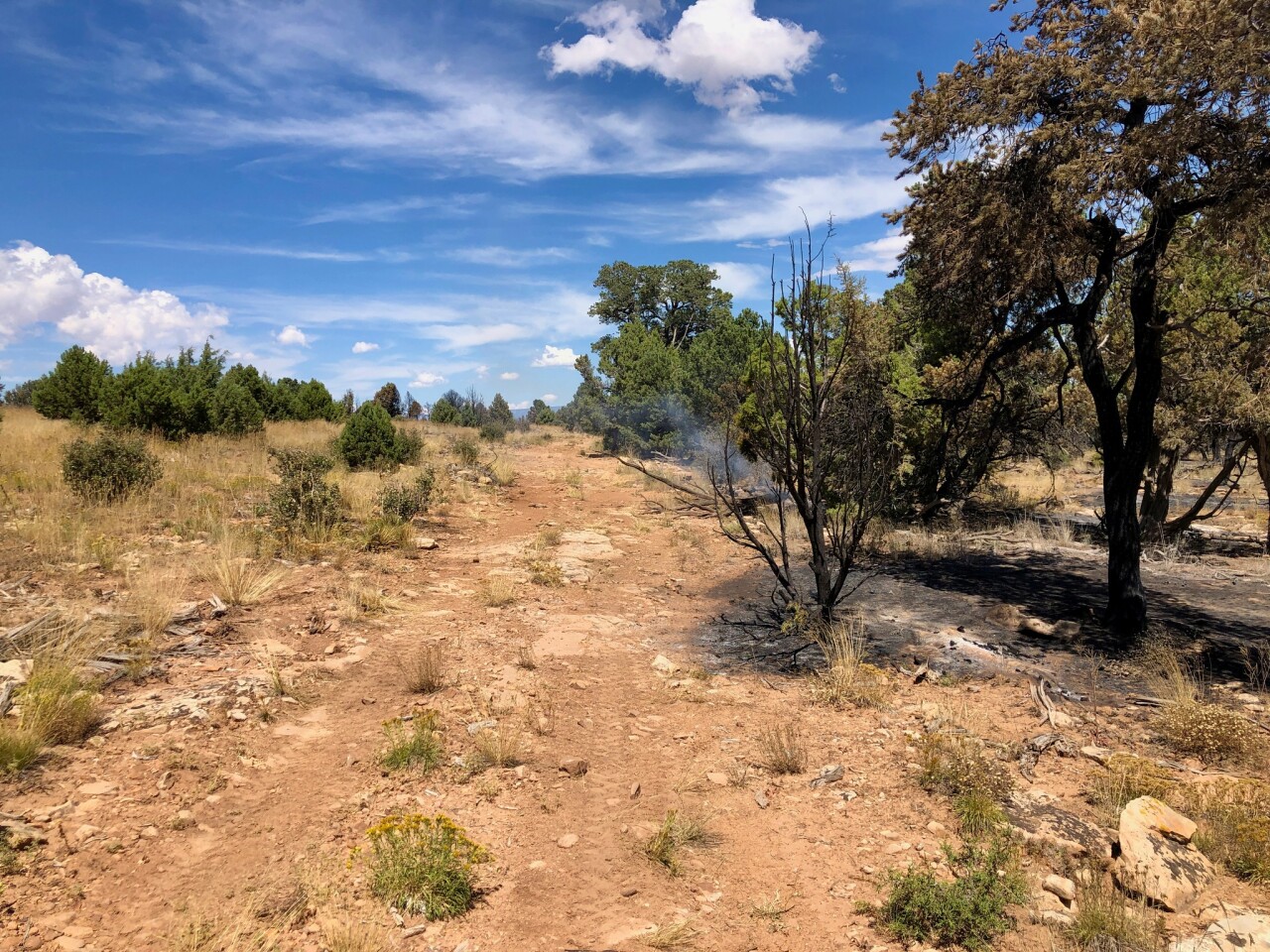 Little Mesa Fire Aug. 23 2023_InciWeb