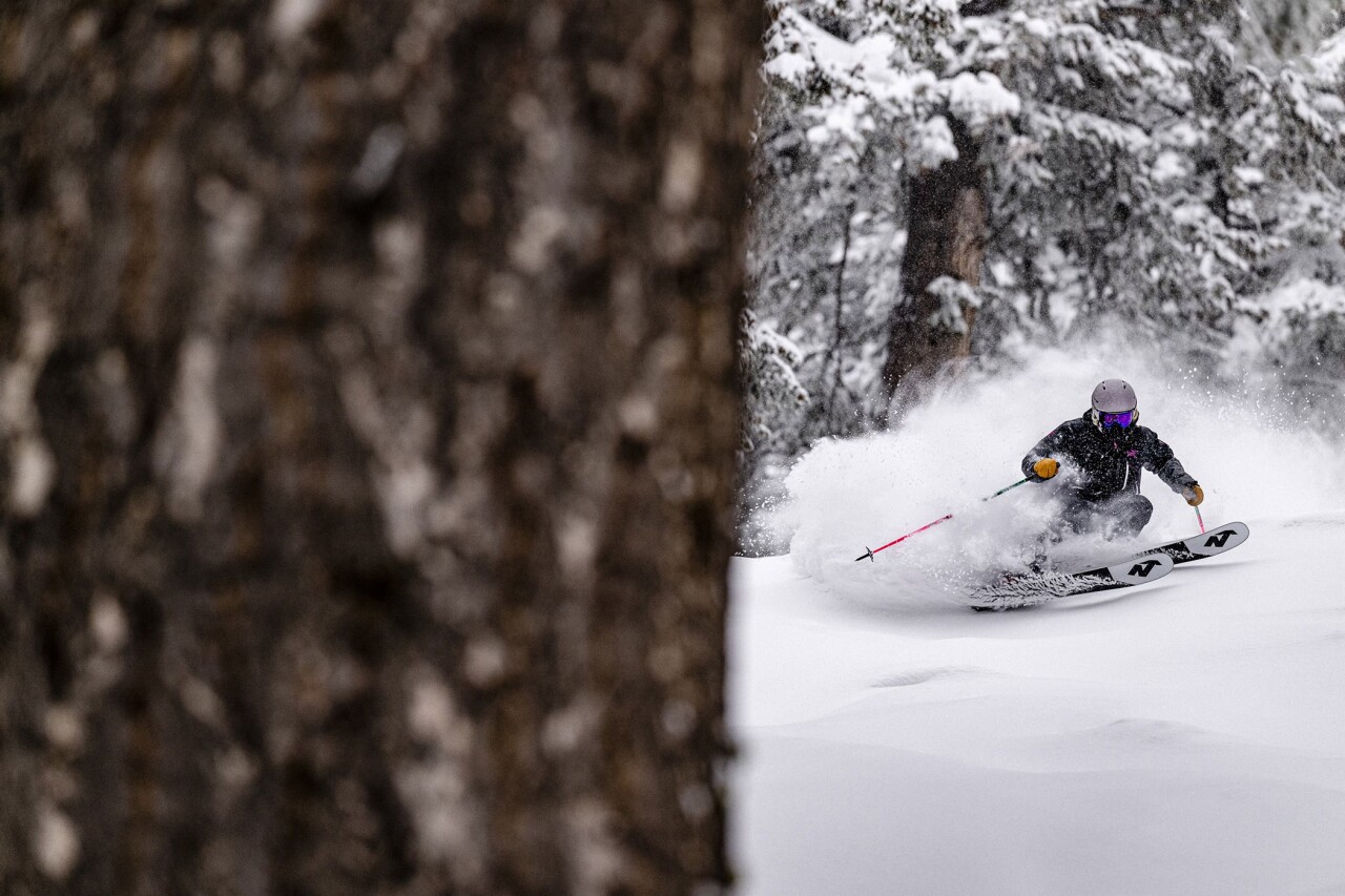 Sun Valley glades, La Nina forecast, climate outlook