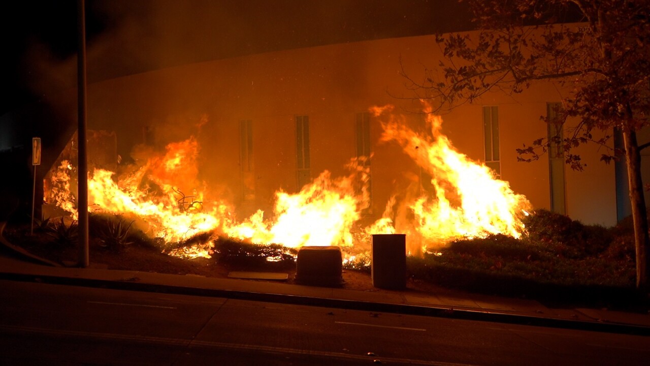 nestor_library_fire_121124.jpg