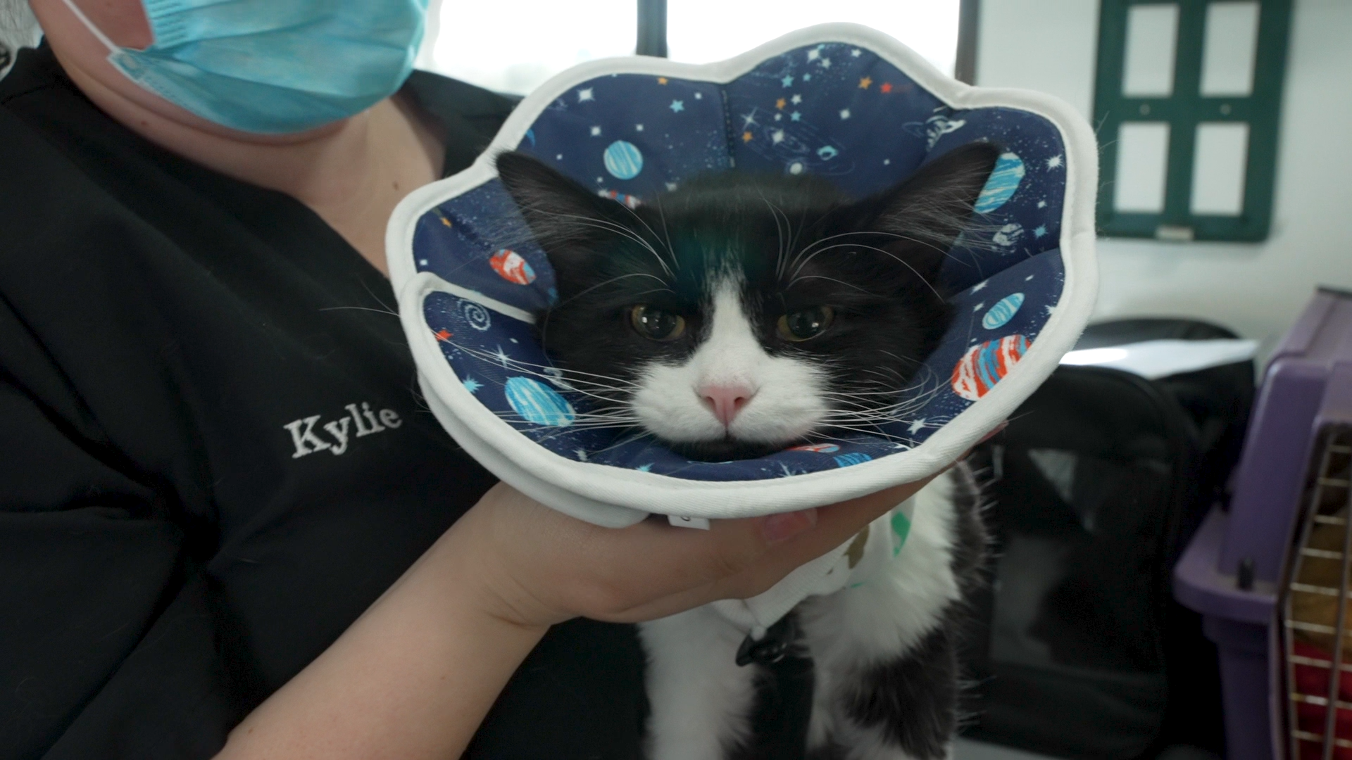 Pet Wellness Clinic SVO.00_00_17_27.Still001.png