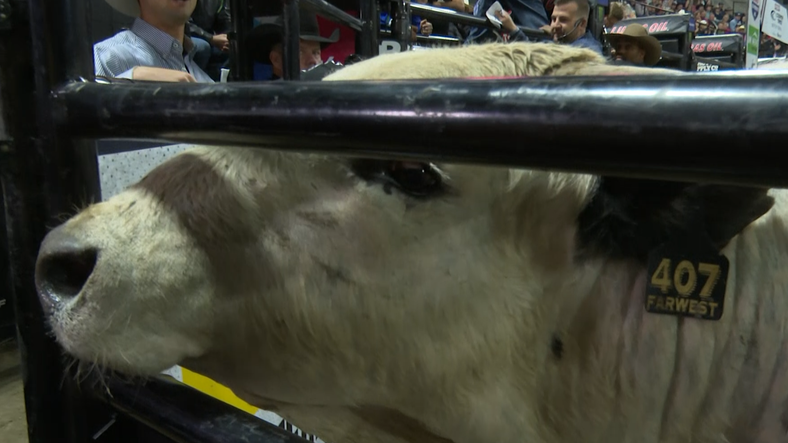 PBR APRIL29.png