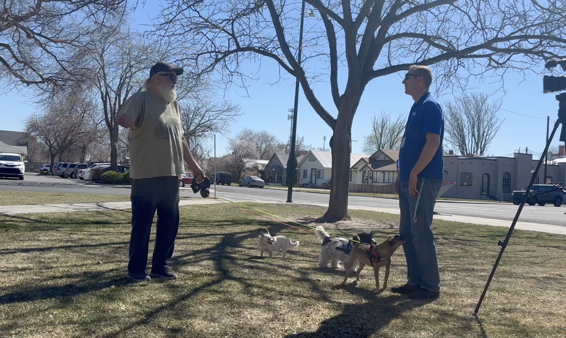 Picking up after your dog in city parks is both good, and a legal requirement
