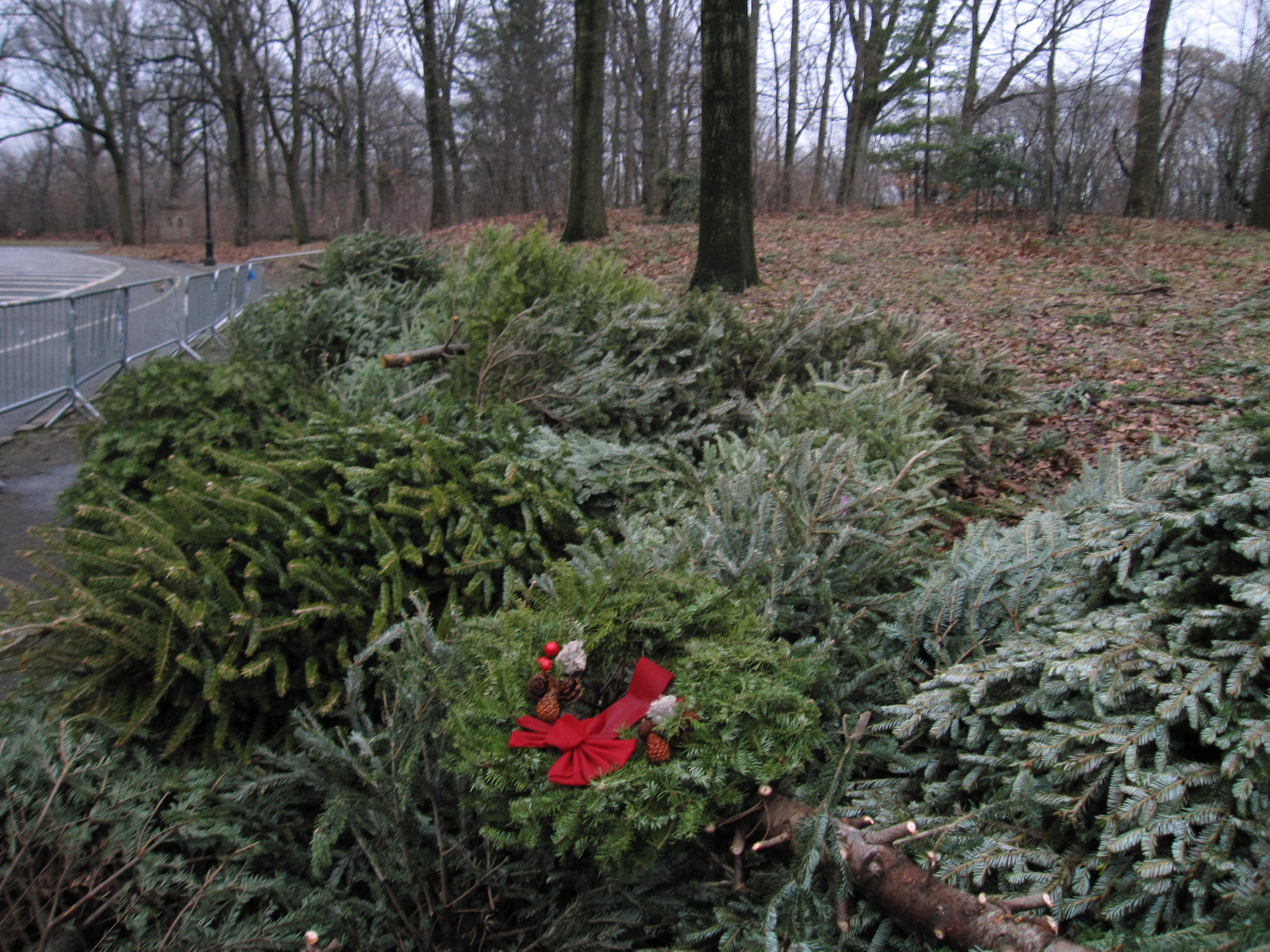 Recycling Christmas Trees