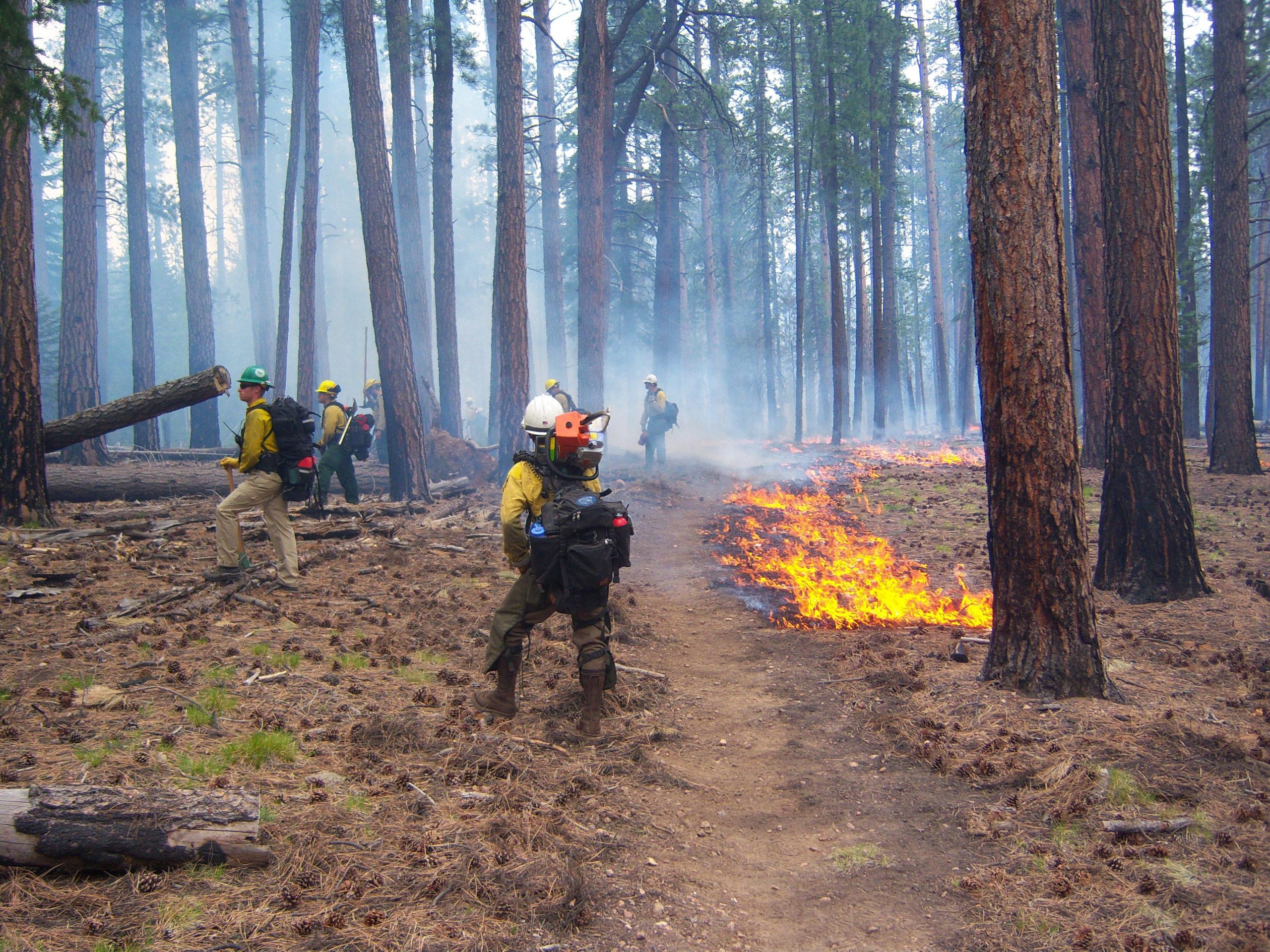 mainFireArizona-scaled.jpg
