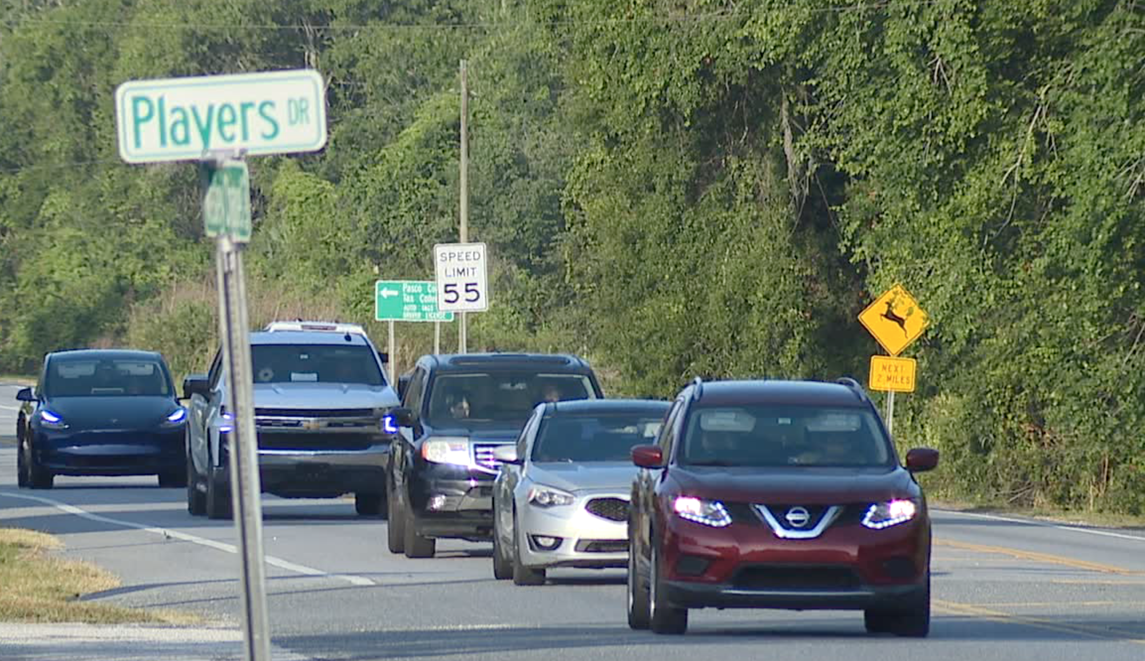 Wesley Chapel boulevard