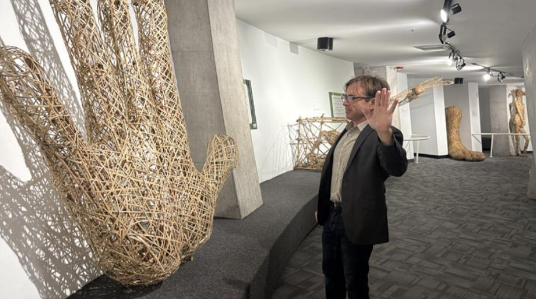 MOSI Opens New Exhibit Dedicated to Bamboo