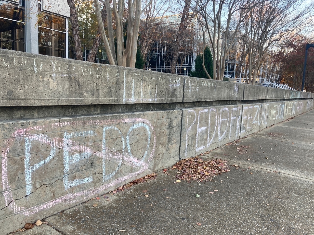 Virginia Professor Resigns