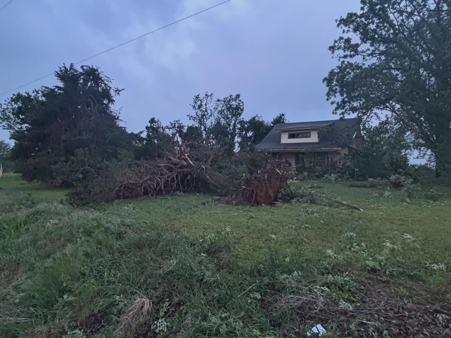 PHOTO- Sycamore damage 