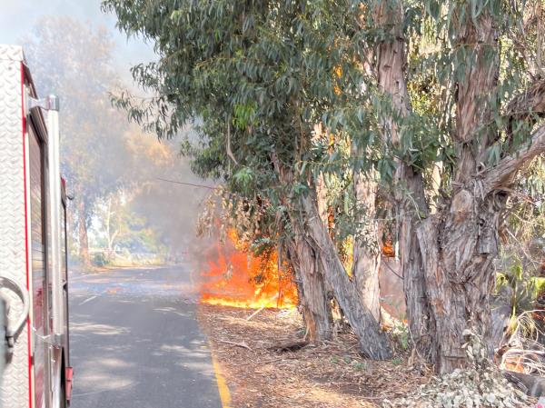 Suspicious fire in Vista (1)