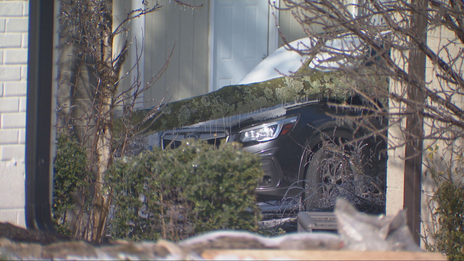An icy tree falls on a car in Donelson Hills