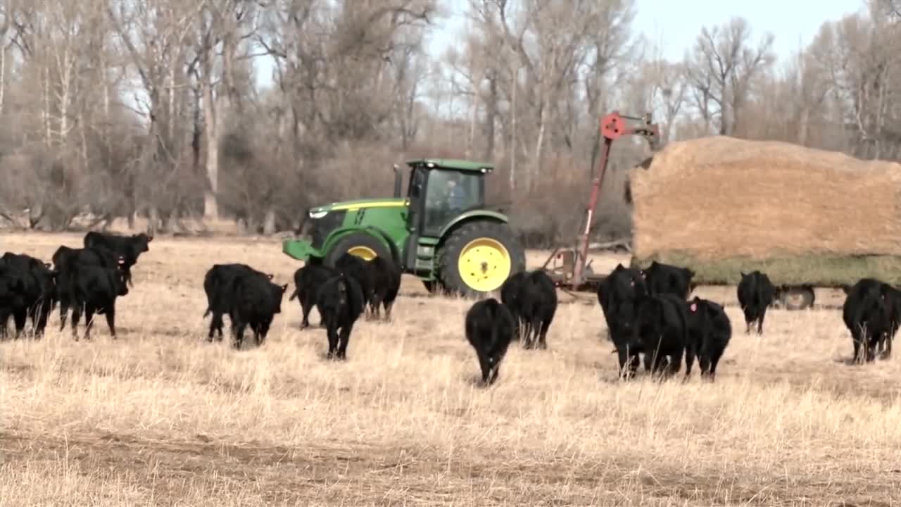 Montana Ag Network: Governor promotes Big Jobs Act to help producers