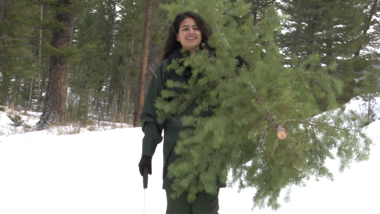 Chiara Cipriano, Helena Lewis & Clark National Forest spokesperson