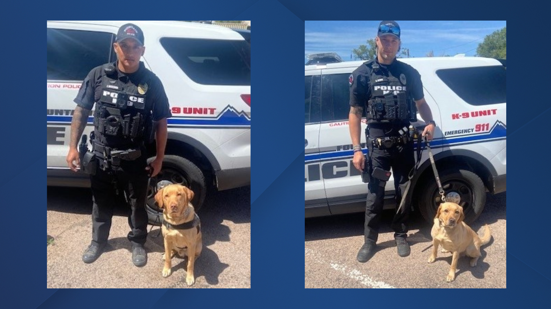 Fountain Police Department K9s