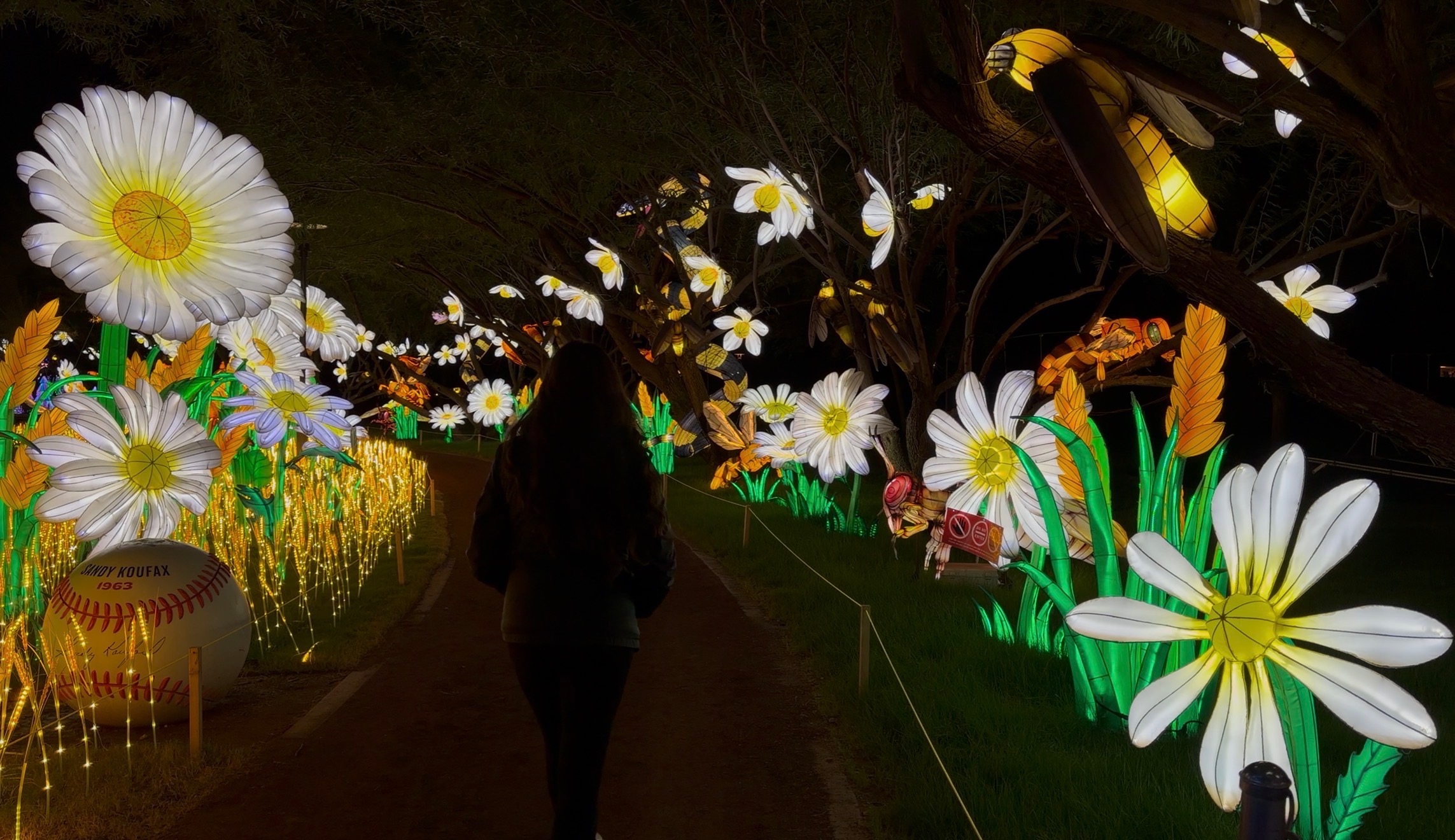 Tianyu Lights at Camelback Ranch - Glendale. 