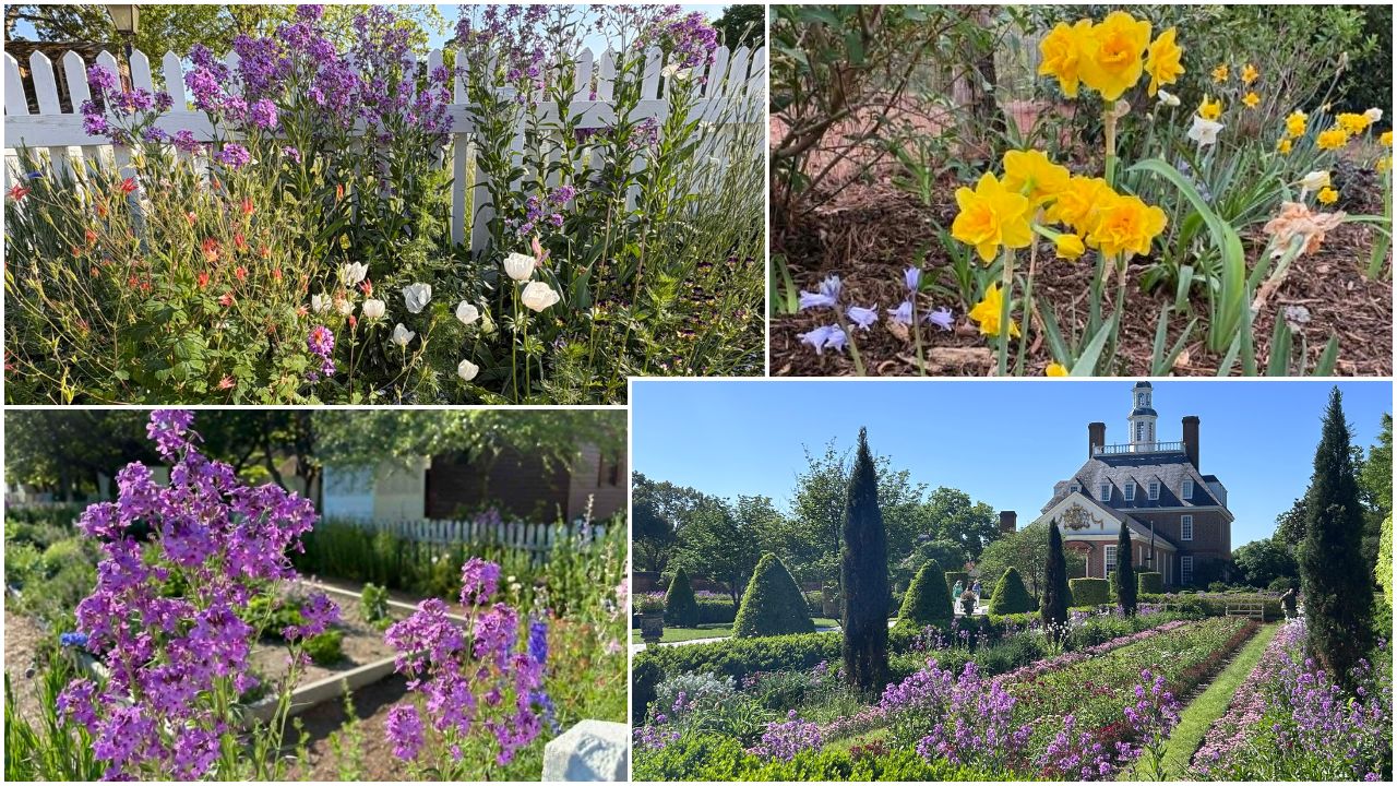 Spring Blooms Cover 2026