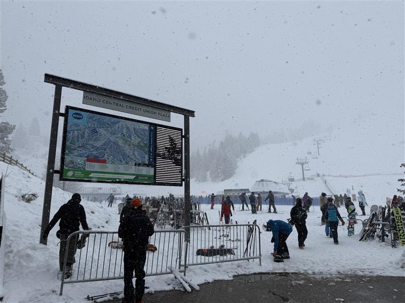 Image - 2026-02-17T133913.811.jpg