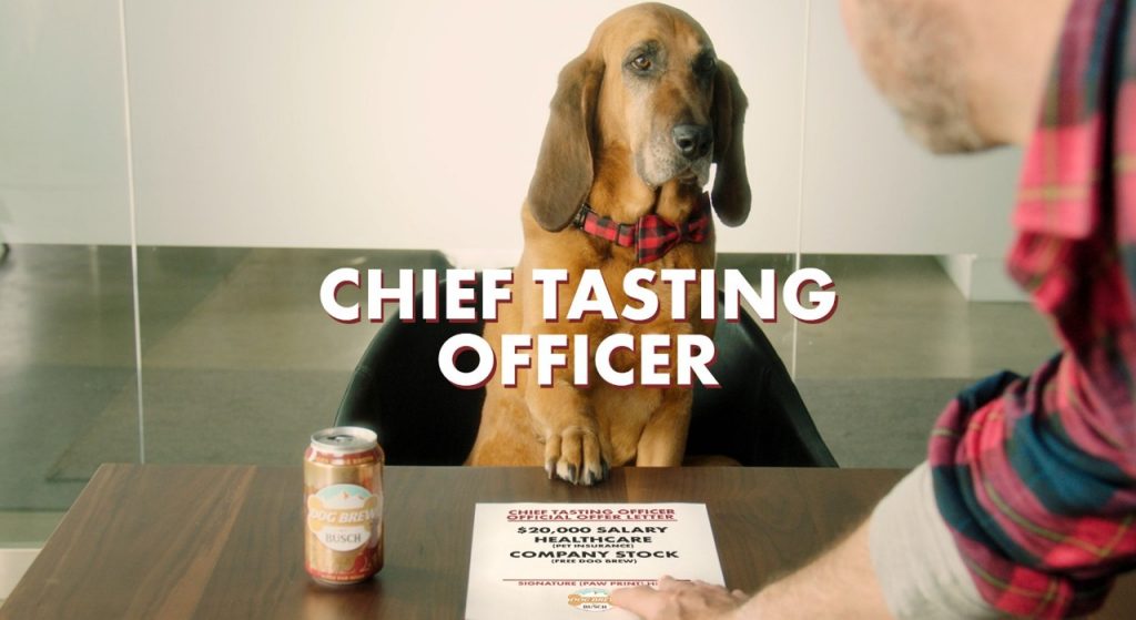 Dog beer Chief Tasting Officer
