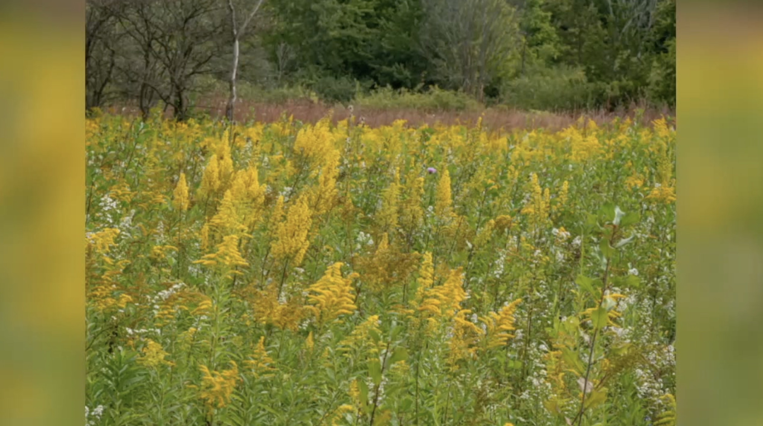 Screenshot 2026-03-23 at 6.11.20 PM.jpg