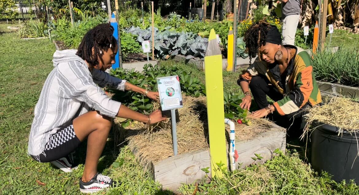 Community Garden