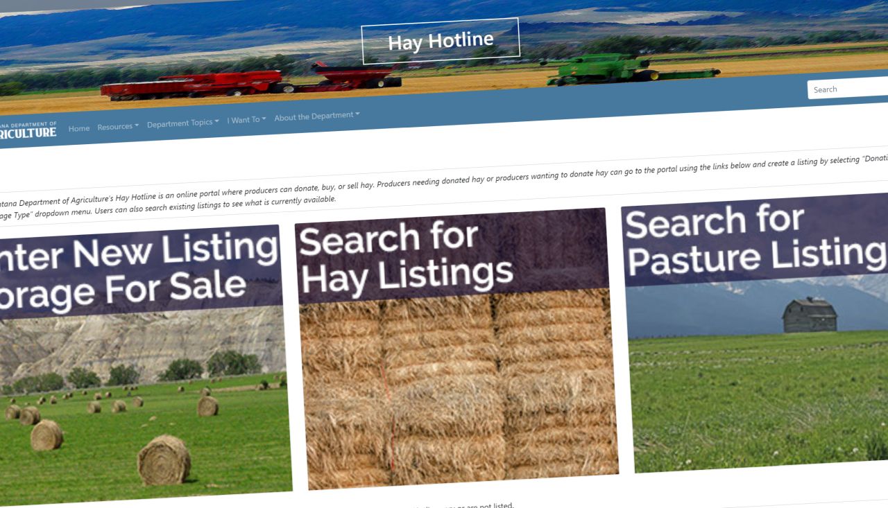 Hay Hotline
