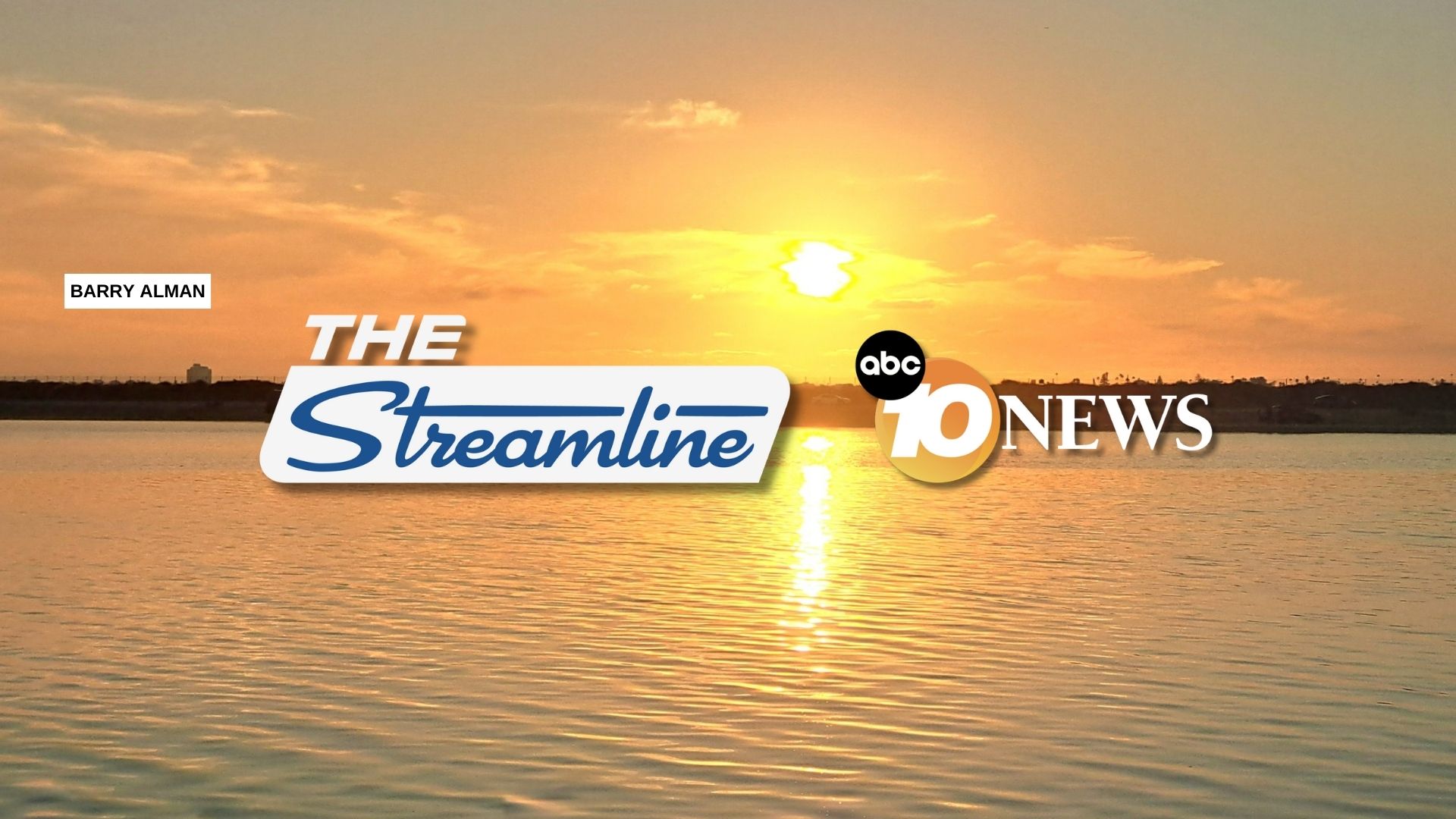 NEWSLETTER BUG -- BARRY ALMAN