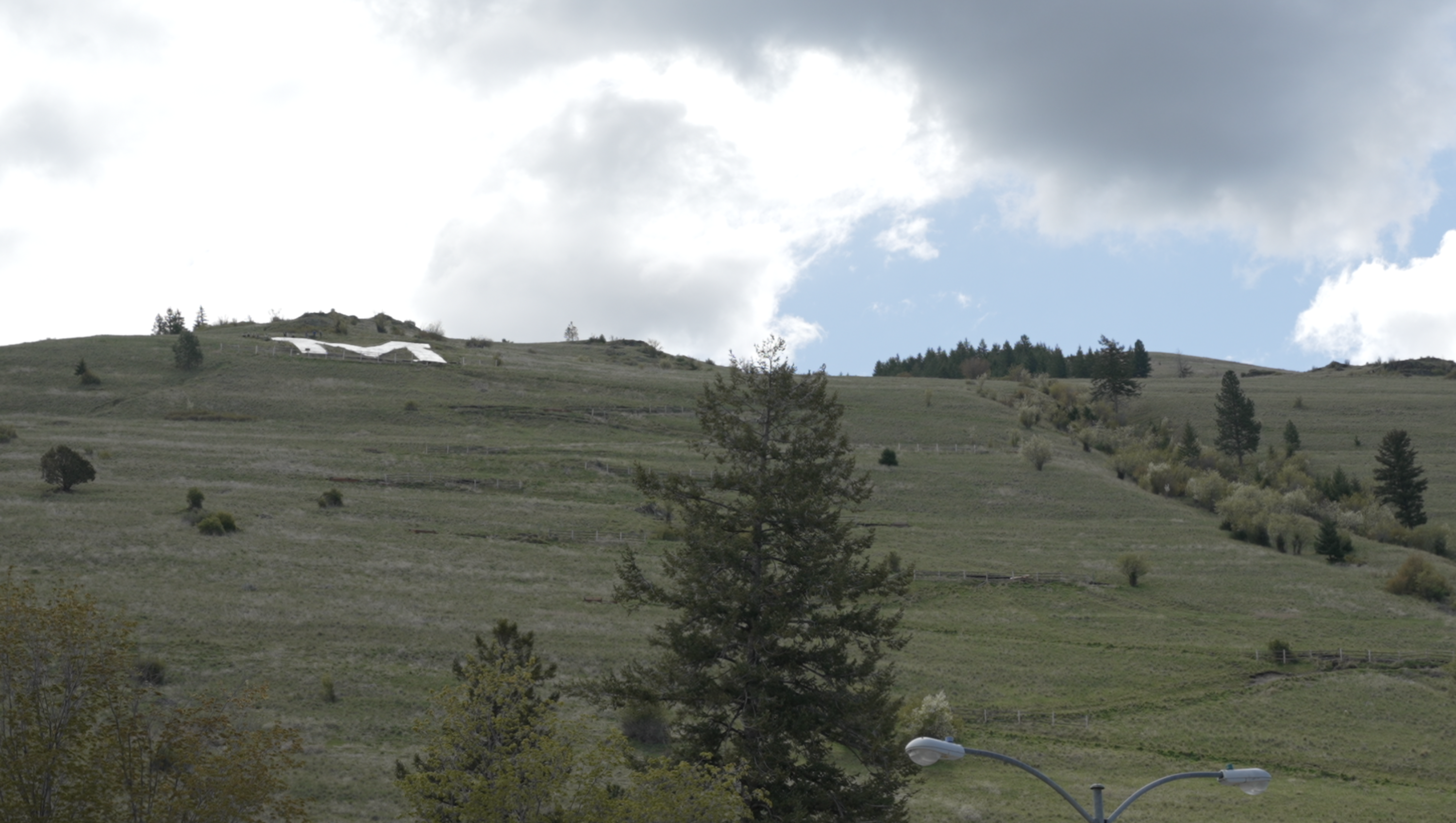 University of Montana's 