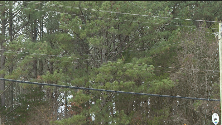 Screenshot 2025-12-29 at 4.50.23 PM.png