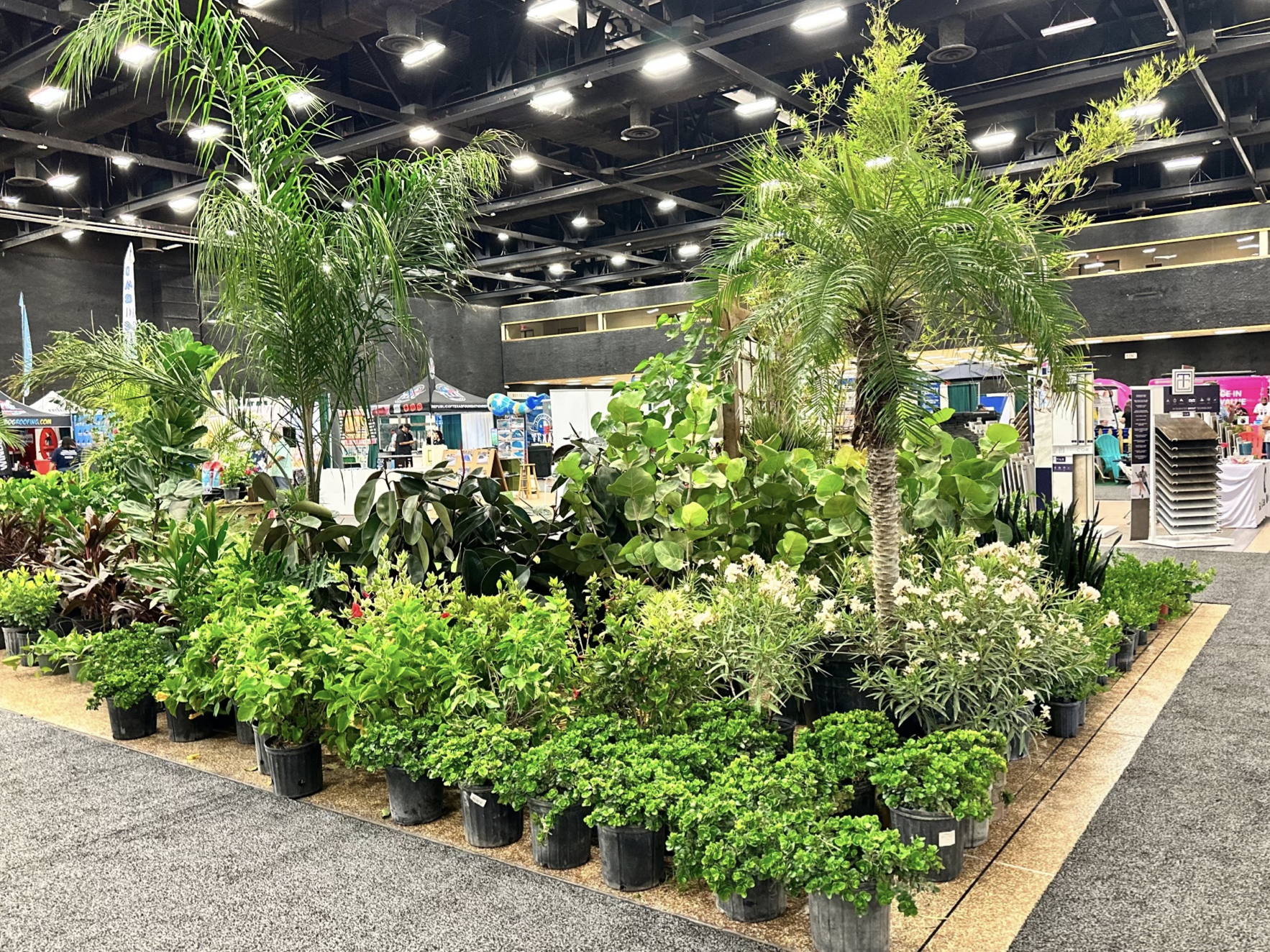 Screen Shot 2025-09-12 at 5.32.31 AM.png