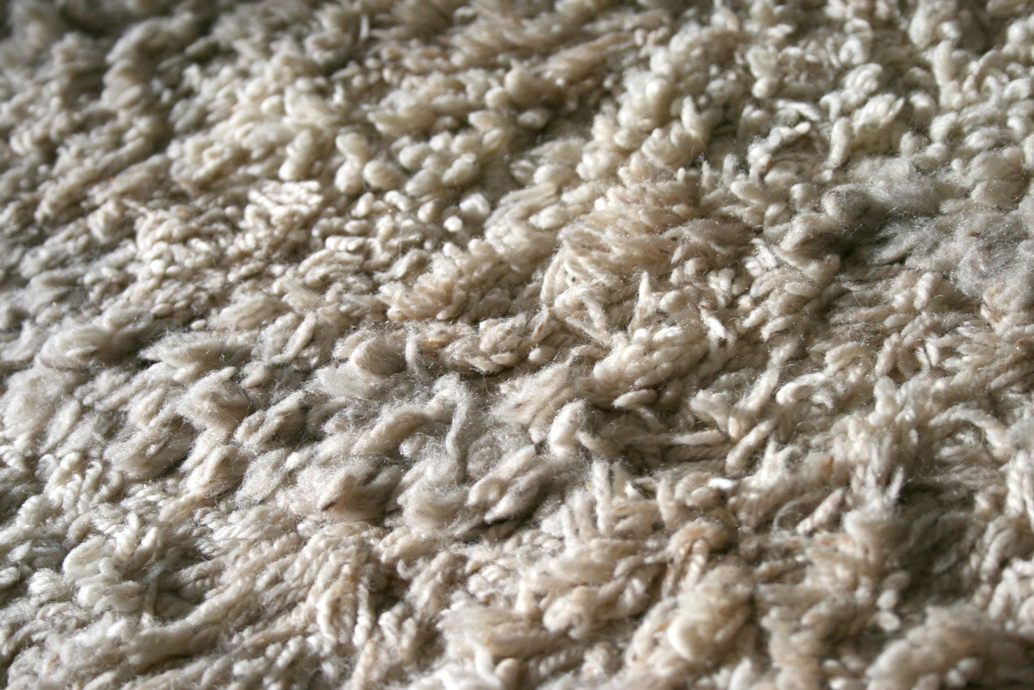 Carpet generic