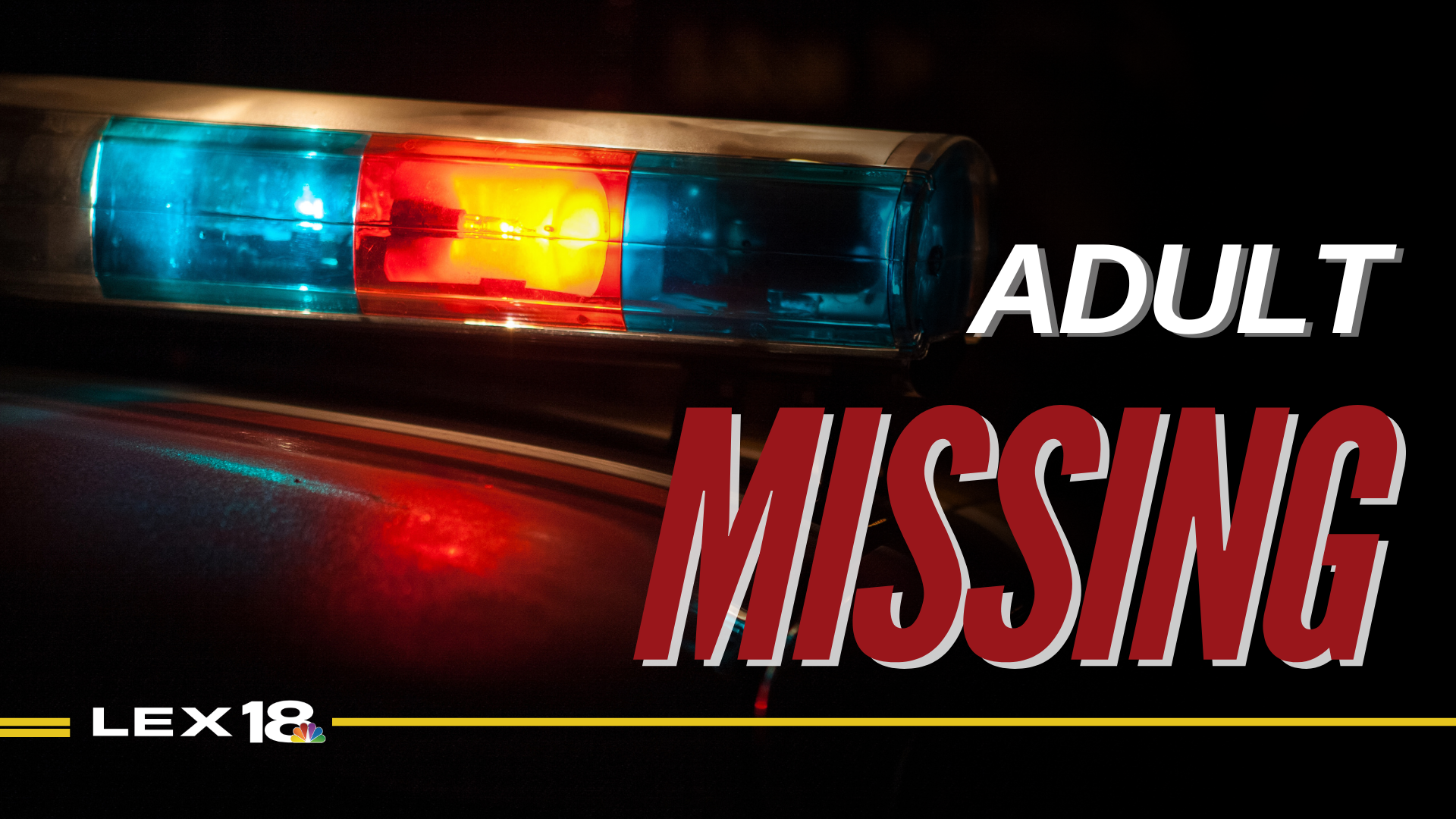 Missing adult, missing person graphic