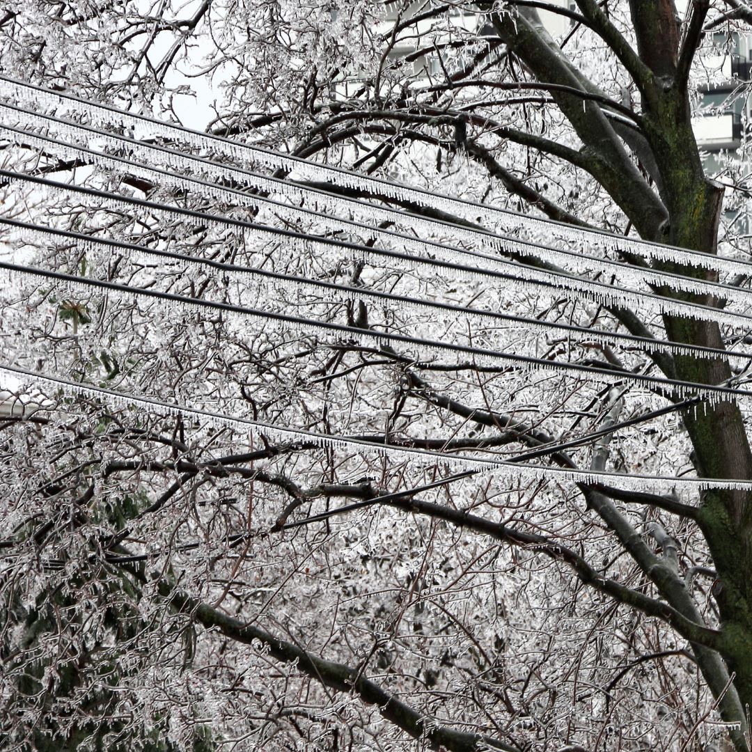 ice on power lines cleco.jpg