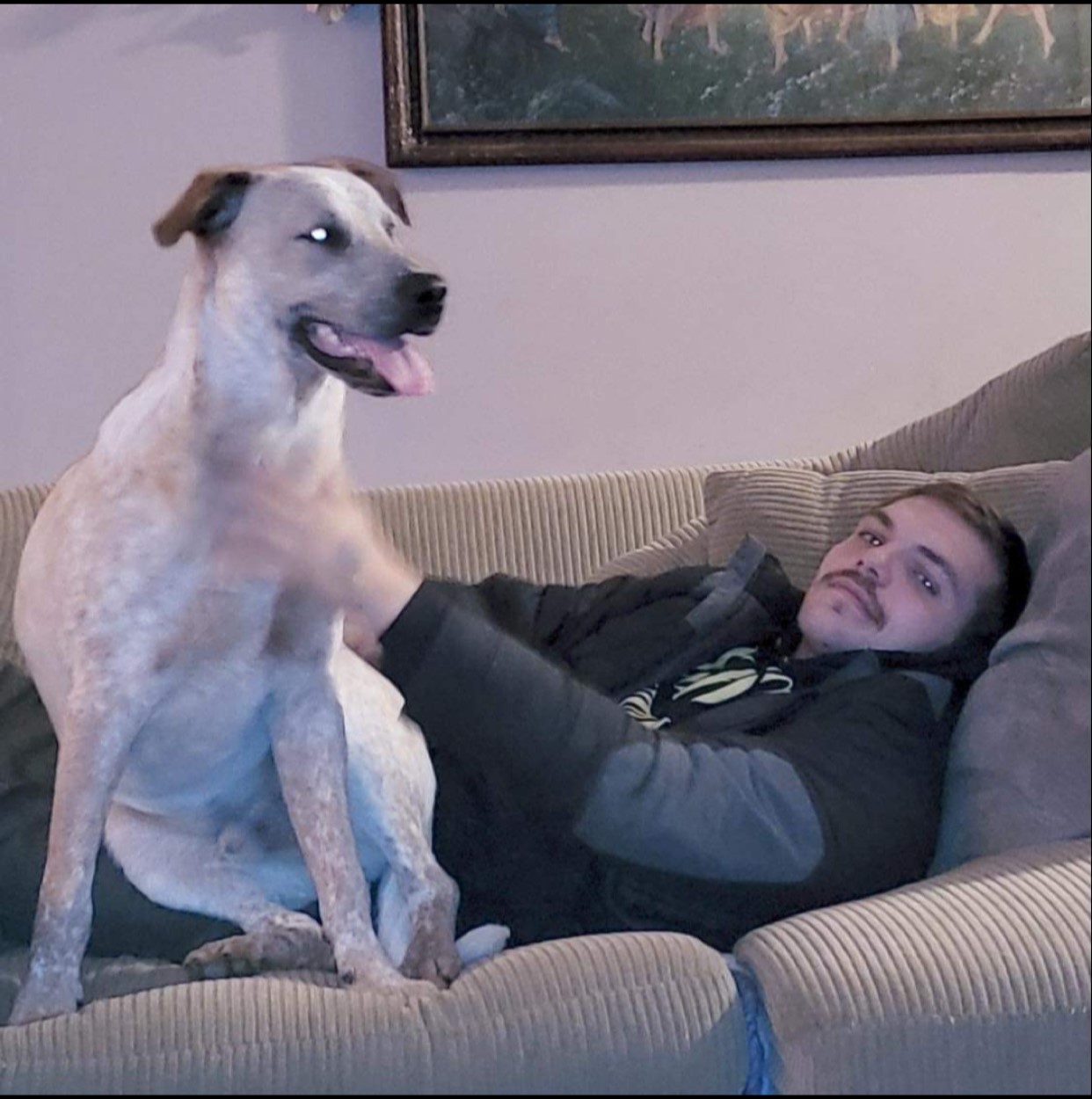 Allegan County Deputy-Involved Shooting