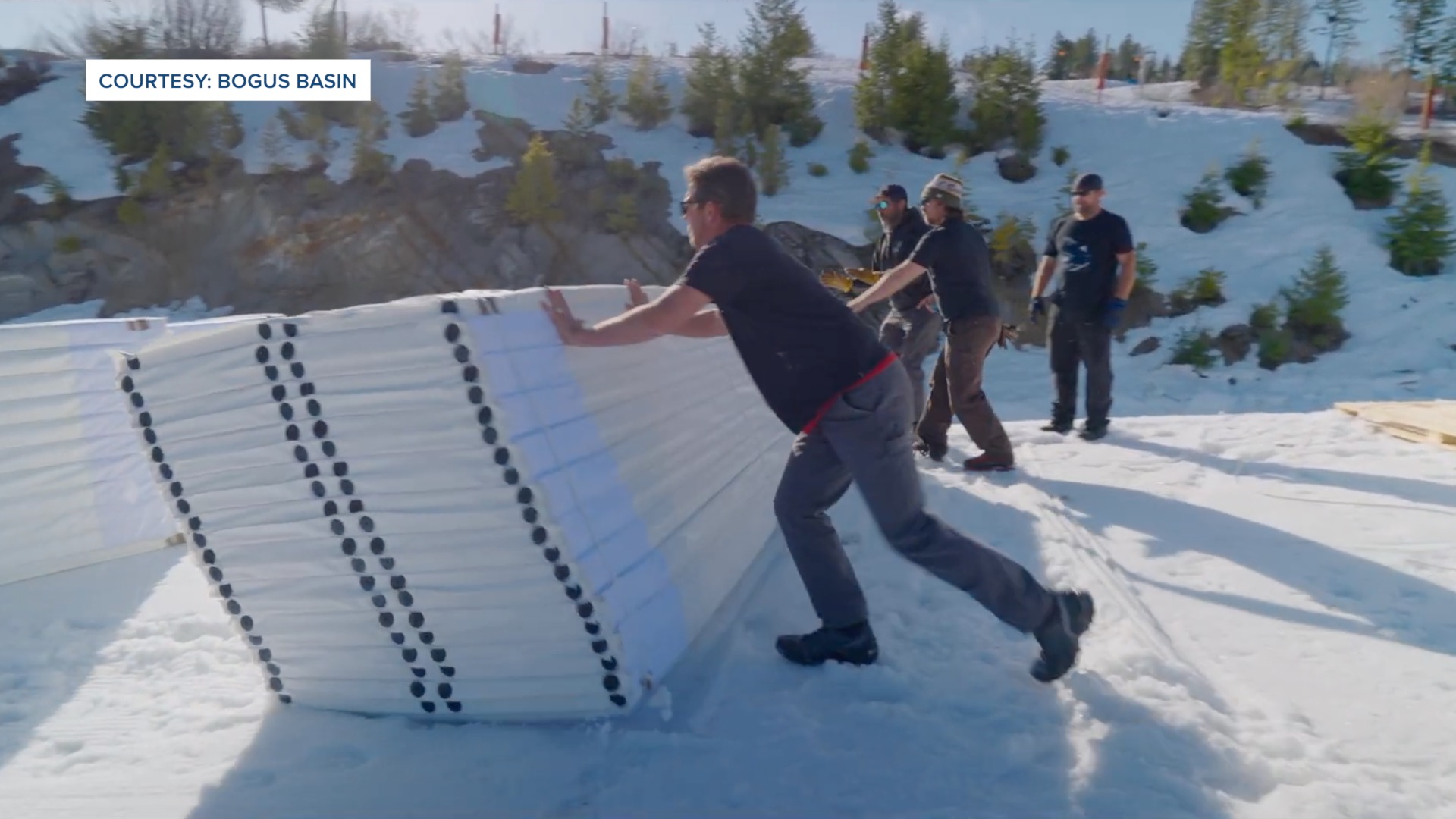 Bogus Snow secure thumbnail.jpg