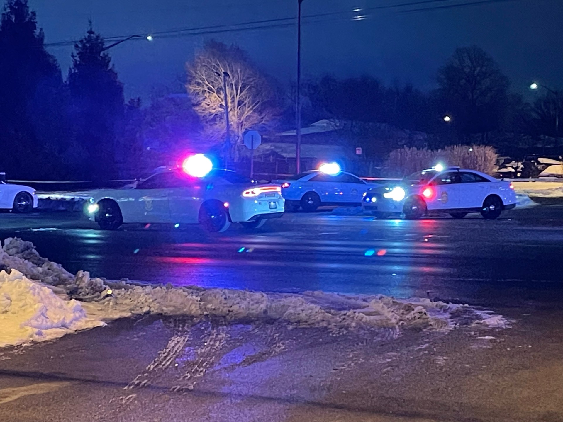 99520864-3bf7-423d-bf9e-21c352630f26.jfif