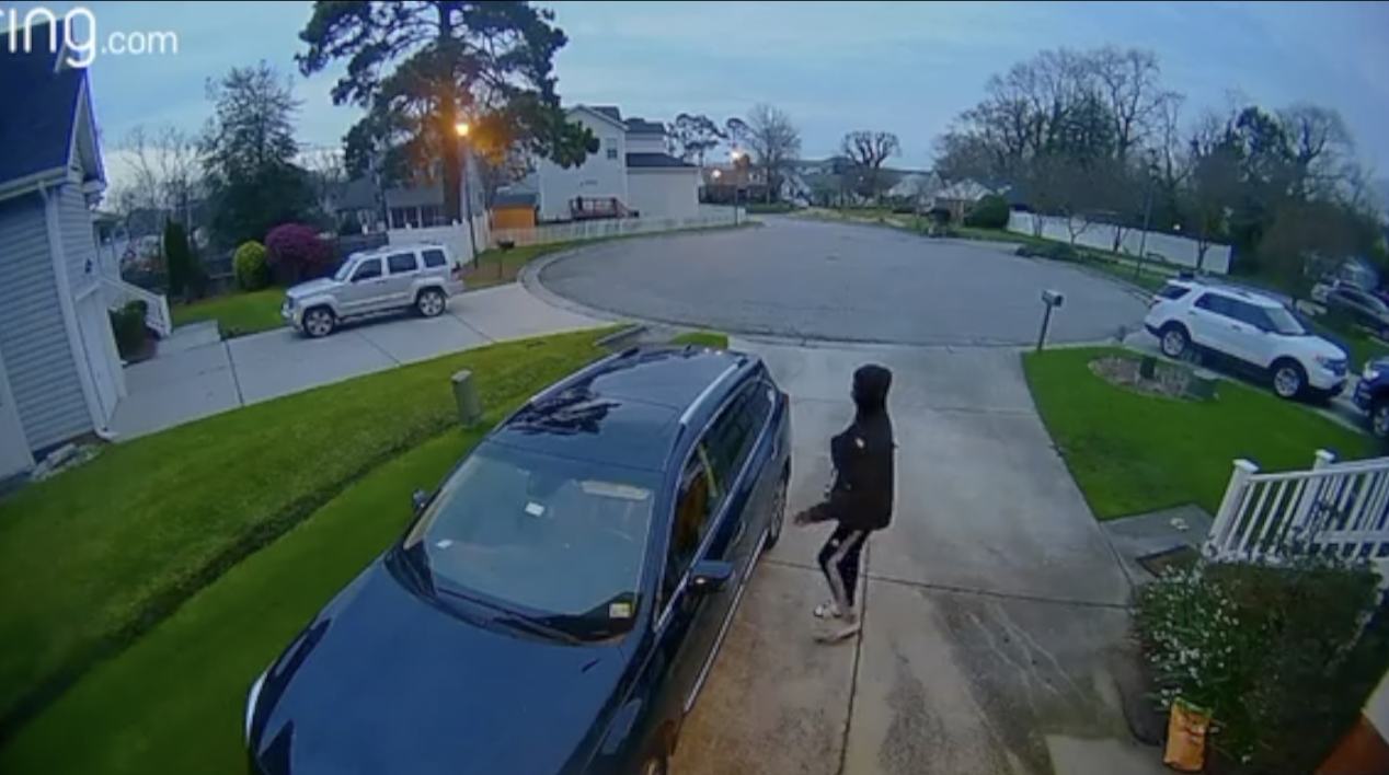Bayview Burglar.png