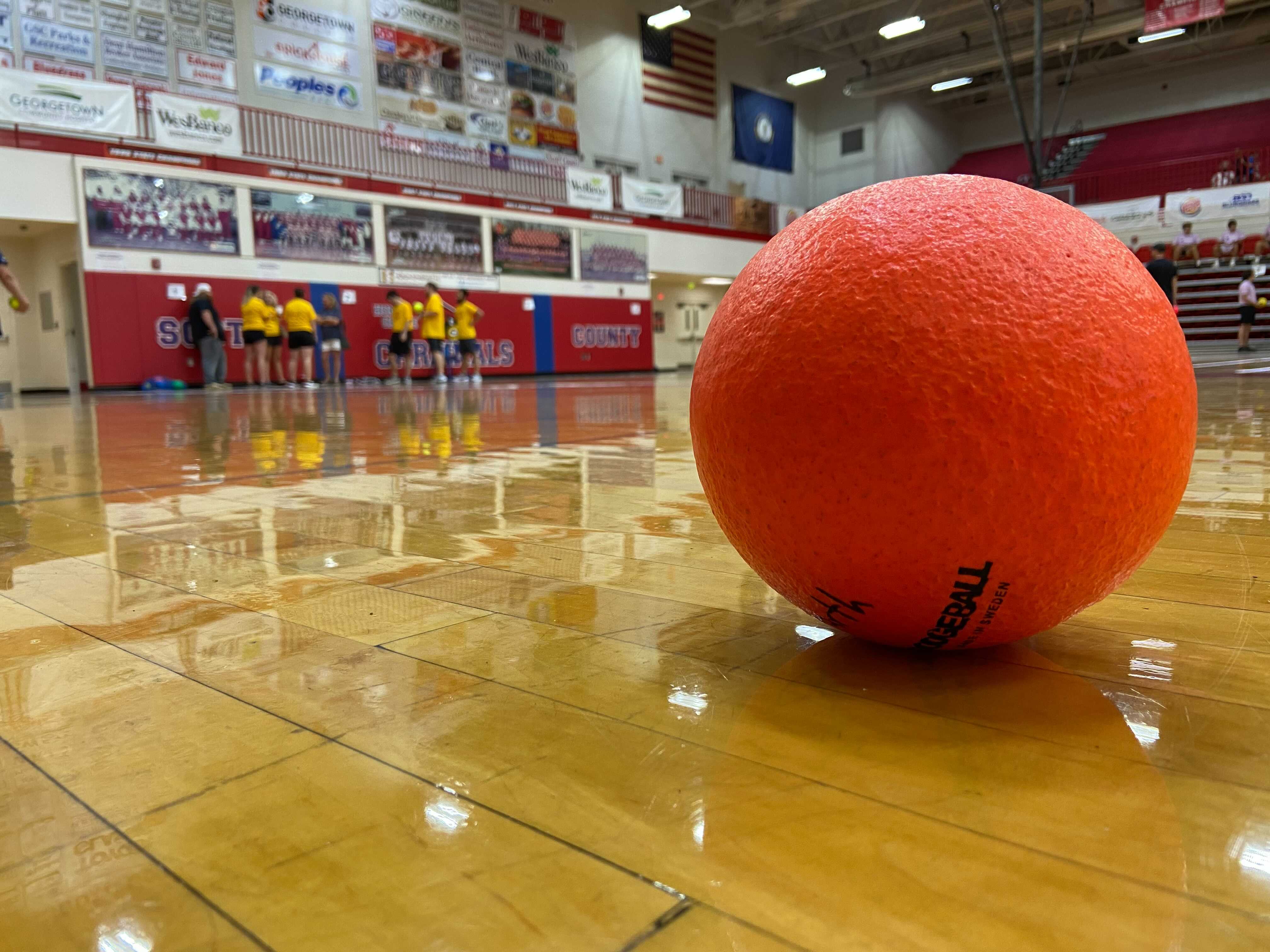 elizabeth village dodgeball.jpg