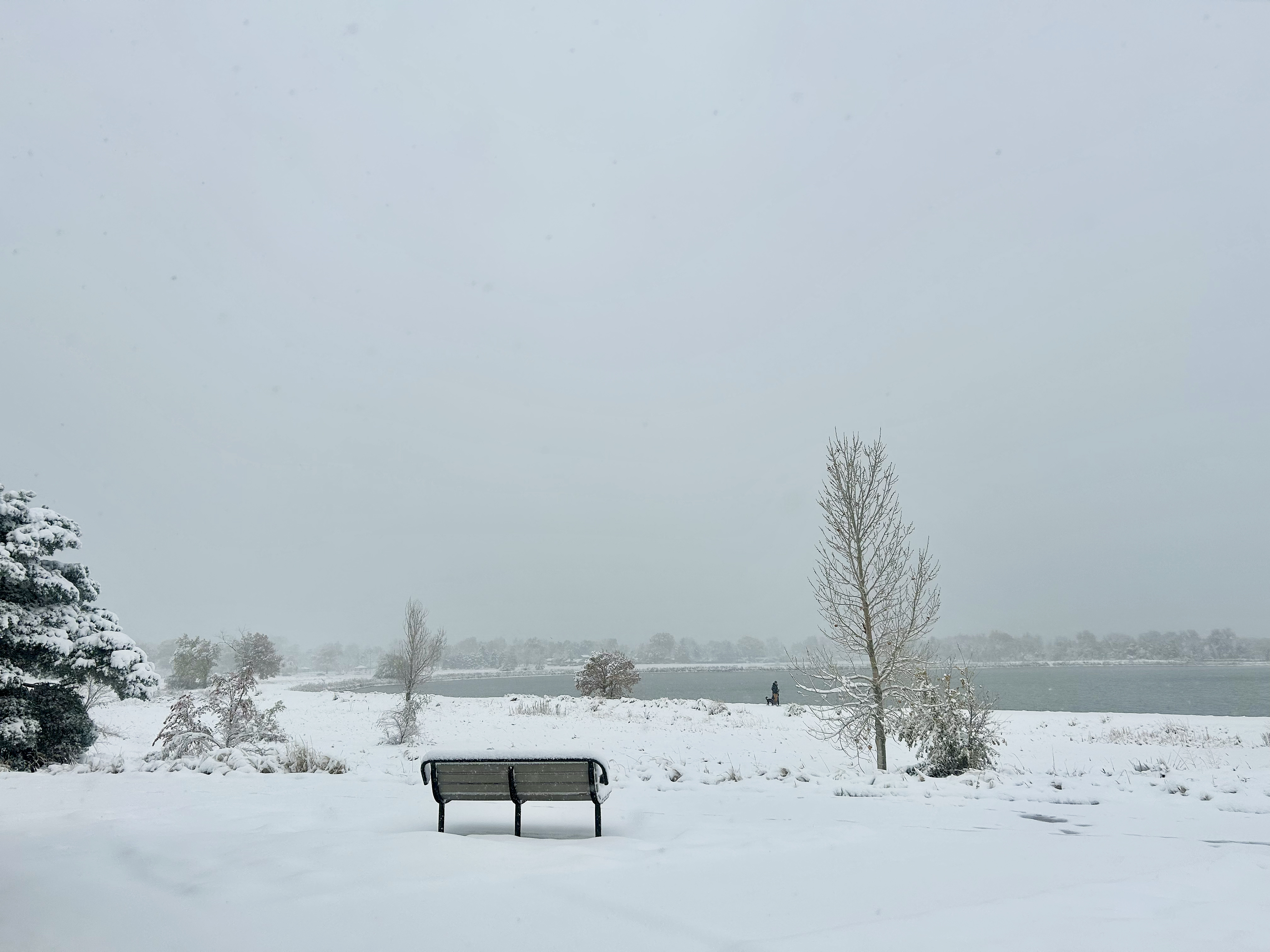 Snow falls at Crown Hill Park on the morning of Nov. 6, 2024. 